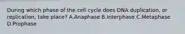 During which phase of the cell cycle does DNA duplication, or replication, take place? A.Anaphase B.Interphase C.Metaphase D.Prophase