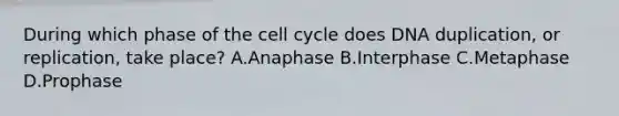 During which phase of the cell cycle does DNA duplication, or replication, take place? A.Anaphase B.Interphase C.Metaphase D.Prophase