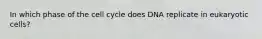 In which phase of the cell cycle does DNA replicate in eukaryotic cells?