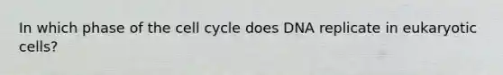 In which phase of the cell cycle does DNA replicate in eukaryotic cells?