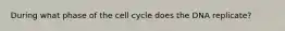 During what phase of the cell cycle does the DNA replicate?