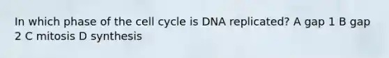 In which phase of the cell cycle is DNA replicated? A gap 1 B gap 2 C mitosis D synthesis