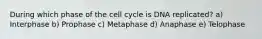 During which phase of the cell cycle is DNA replicated? a) Interphase b) Prophase c) Metaphase d) Anaphase e) Telophase