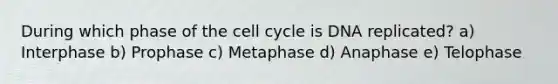 During which phase of the cell cycle is DNA replicated? a) Interphase b) Prophase c) Metaphase d) Anaphase e) Telophase