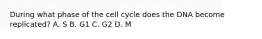 During what phase of the cell cycle does the DNA become replicated? A. S B. G1 C. G2 D. M