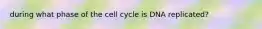 during what phase of the cell cycle is DNA replicated?