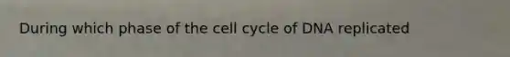 During which phase of the cell cycle of DNA replicated