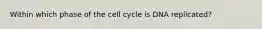 Within which phase of the cell cycle is DNA replicated?