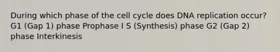 During which phase of the cell cycle does DNA replication occur? G1 (Gap 1) phase Prophase I S (Synthesis) phase G2 (Gap 2) phase Interkinesis