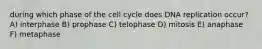 during which phase of the cell cycle does DNA replication occur? A) interphase B) prophase C) telophase D) mitosis E) anaphase F) metaphase