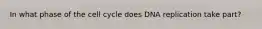In what phase of the cell cycle does DNA replication take part?