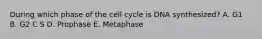 During which phase of the cell cycle is DNA synthesized? A. G1 B. G2 C S D. Prophase E. Metaphase