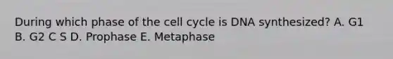 During which phase of the cell cycle is DNA synthesized? A. G1 B. G2 C S D. Prophase E. Metaphase