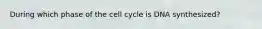 During which phase of the cell cycle is DNA synthesized?