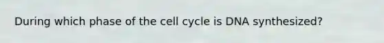 During which phase of the cell cycle is DNA synthesized?