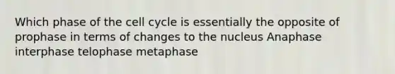 Which phase of the cell cycle is essentially the opposite of prophase in terms of changes to the nucleus Anaphase interphase telophase metaphase