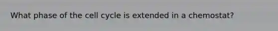 What phase of the cell cycle is extended in a chemostat?