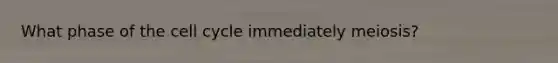 What phase of the cell cycle immediately meiosis?