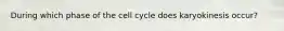 During which phase of the cell cycle does karyokinesis occur?