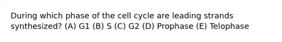 During which phase of the cell cycle are leading strands synthesized? (A) G1 (B) S (C) G2 (D) Prophase (E) Telophase