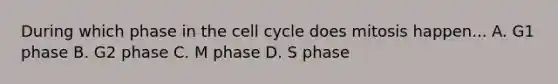 During which phase in the cell cycle does mitosis happen... A. G1 phase B. G2 phase C. M phase D. S phase