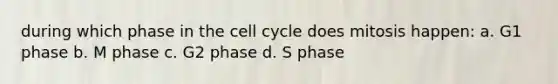 during which phase in the cell cycle does mitosis happen: a. G1 phase b. M phase c. G2 phase d. S phase