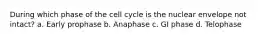 During which phase of the cell cycle is the nuclear envelope not intact? a. Early prophase b. Anaphase c. GI phase d. Telophase