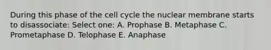 During this phase of the cell cycle the nuclear membrane starts to disassociate: Select one: A. Prophase B. Metaphase C. Prometaphase D. Telophase E. Anaphase