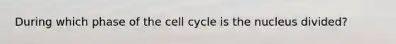 During which phase of the cell cycle is the nucleus divided?