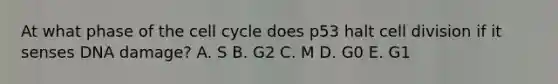 At what phase of the cell cycle does p53 halt cell division if it senses DNA damage? A. S B. G2 C. M D. G0 E. G1