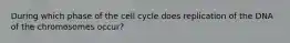 During which phase of the cell cycle does replication of the DNA of the chromosomes occur?