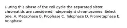 During this phase of the cell cycle the separated sister chromatids are considered independent chromosomes: Select one: A. Metaphase B. Prophase C. Telophase D. Prometaphase E. Anaphase