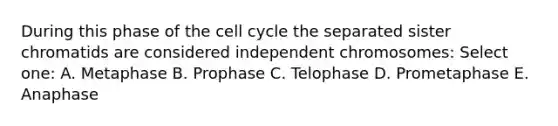 During this phase of the cell cycle the separated sister chromatids are considered independent chromosomes: Select one: A. Metaphase B. Prophase C. Telophase D. Prometaphase E. Anaphase