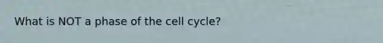 What is NOT a phase of the cell cycle?