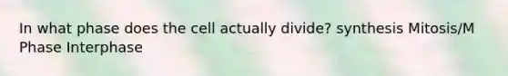 In what phase does the cell actually divide? synthesis Mitosis/M Phase Interphase