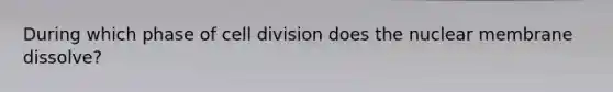 During which phase of cell division does the nuclear membrane dissolve?