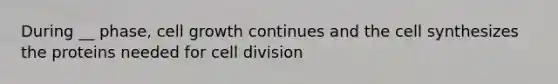 During __ phase, cell growth continues and the cell synthesizes the proteins needed for cell division