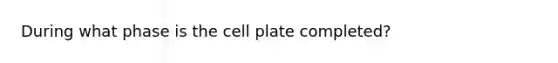 During what phase is the cell plate completed?