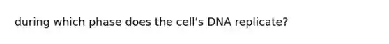 during which phase does the cell's DNA replicate?