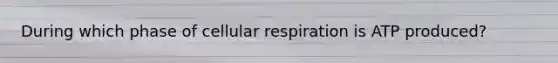 During which phase of cellular respiration is ATP produced?