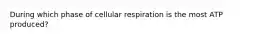 During which phase of cellular respiration is the most ATP produced?