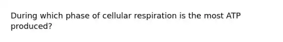 During which phase of cellular respiration is the most ATP produced?