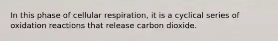 In this phase of cellular respiration, it is a cyclical series of oxidation reactions that release carbon dioxide.