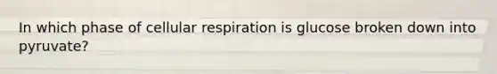 In which phase of cellular respiration is glucose broken down into pyruvate?