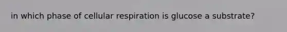 in which phase of cellular respiration is glucose a substrate?