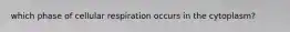 which phase of cellular respiration occurs in the cytoplasm?