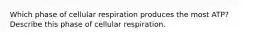 Which phase of cellular respiration produces the most ATP? Describe this phase of cellular respiration.