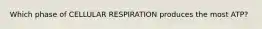 Which phase of CELLULAR RESPIRATION produces the most ATP?