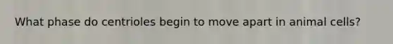 What phase do centrioles begin to move apart in animal cells?