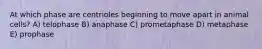 At which phase are centrioles beginning to move apart in animal cells? A) telophase B) anaphase C) prometaphase D) metaphase E) prophase